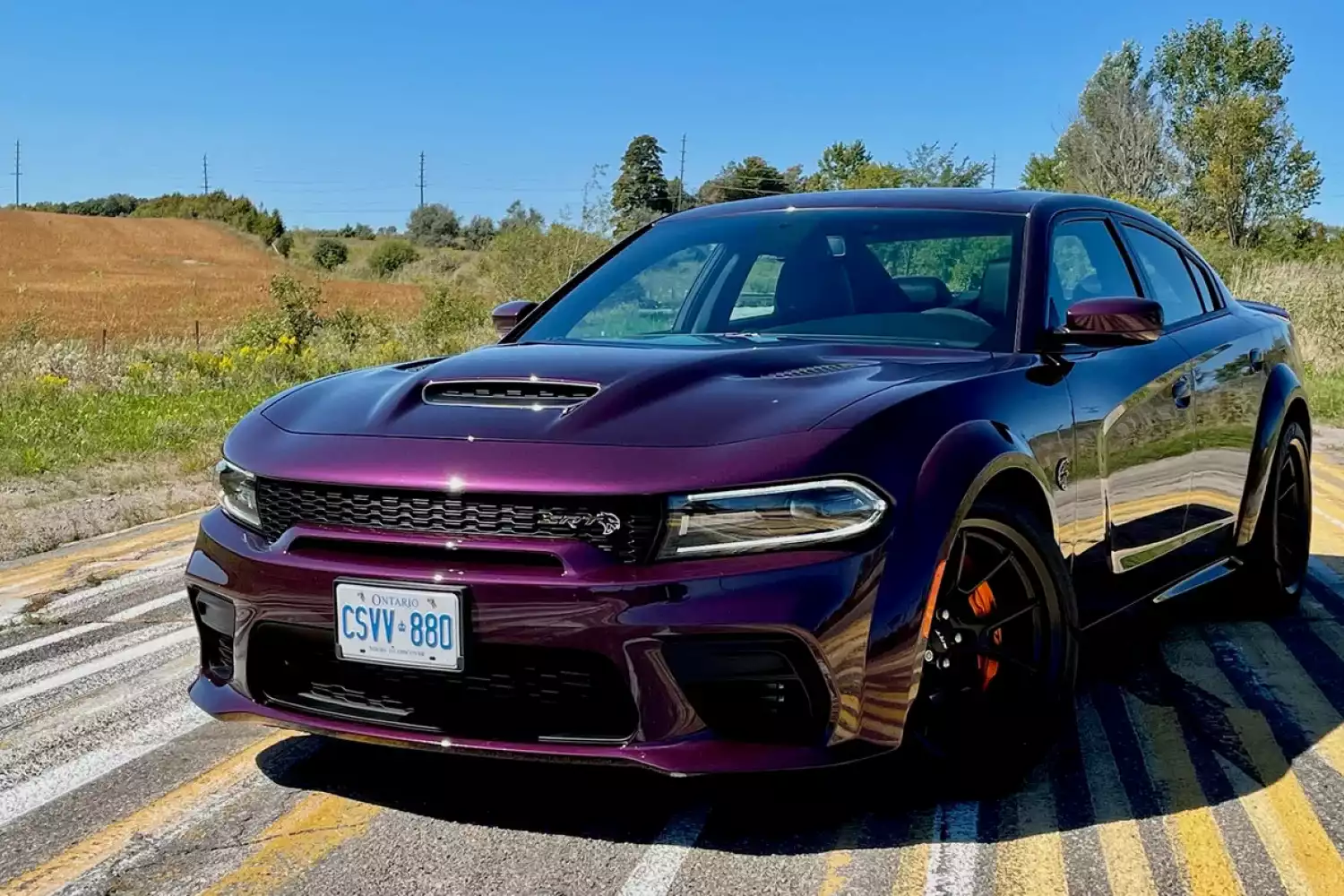 Dodge Charger organizer for road trip