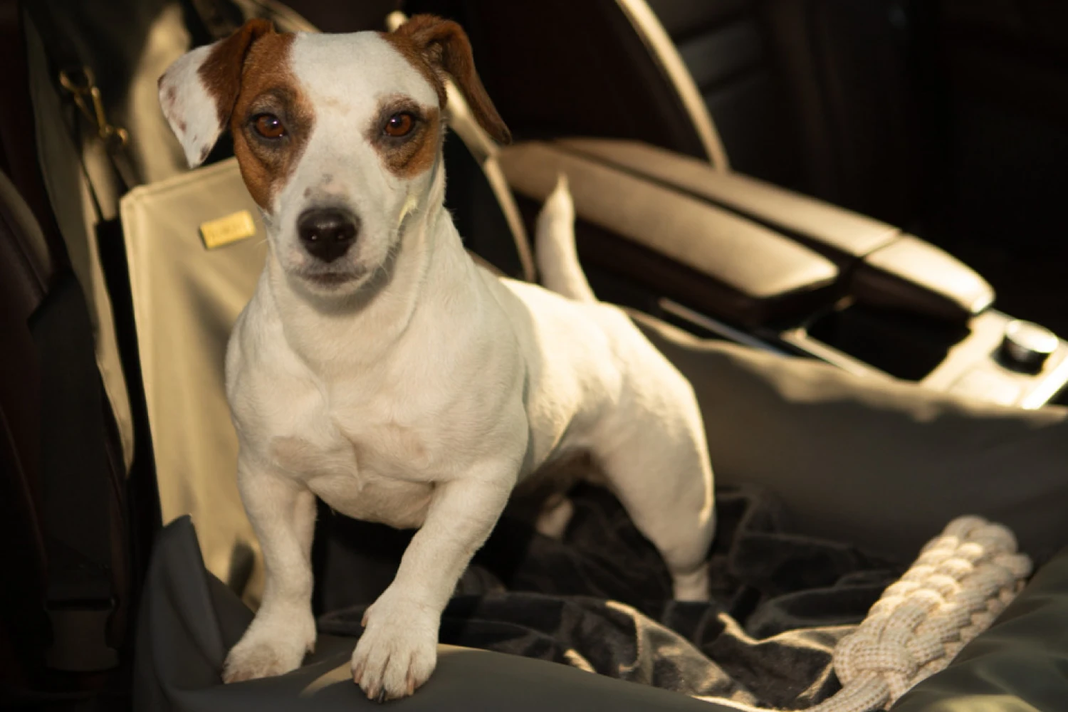 Cocker Spaniels Dog Car Seat for Ford Escape