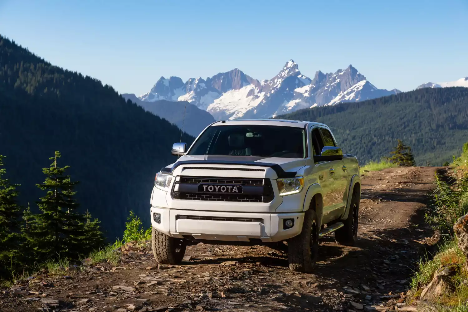 pet seat cover for Toyota Tacoma